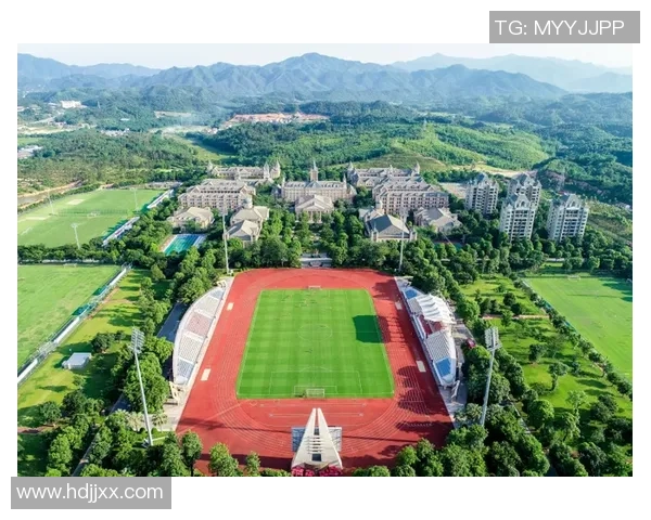 泰丰足球崛起之路解析：从青训到职业联赛的全景探讨与未来展望